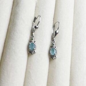 🗽Grandidierite & Chrome Diopside  Earrings in Platinum Over Sterling Silver